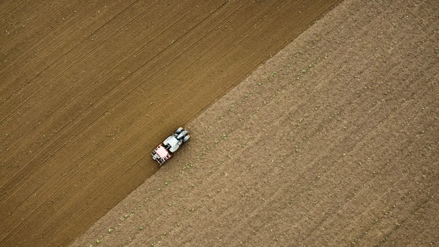 Tractor and implement working a field, seen straight down from above.